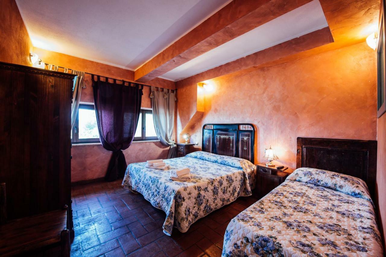 Il Noce Farm stay Castiglione d'Orcia
